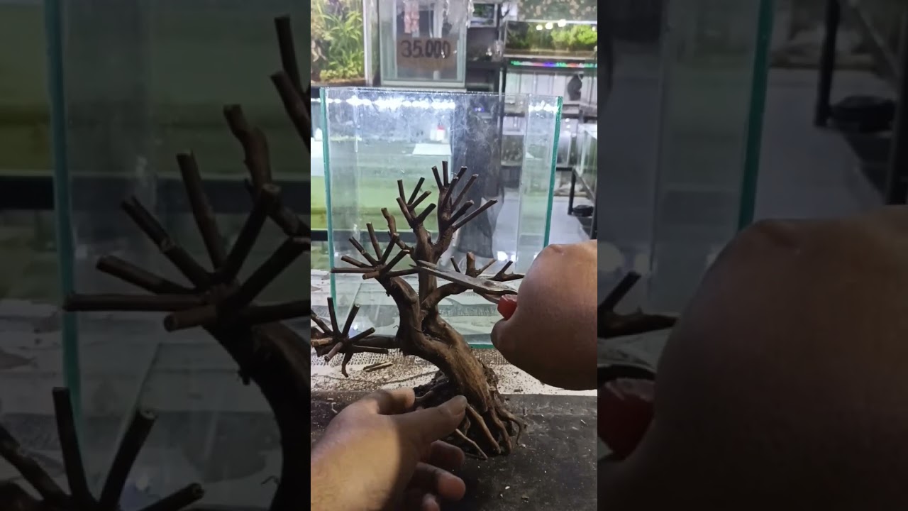 Moss Bonsai sintetis, aquarium ornament