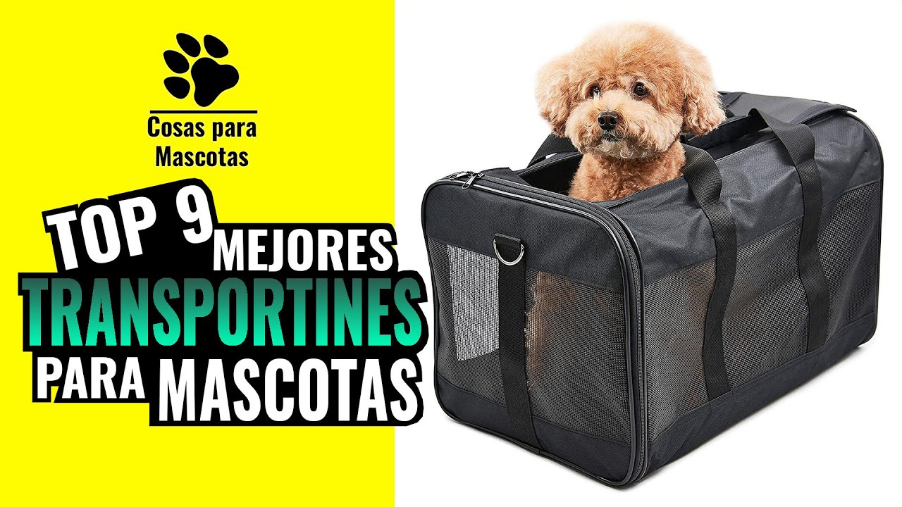 🐶 🐱 Los 9 MEJORES TRANSPORTINES para mascotas de Amazon | Cómo llevar a nuestra mascota de viaje.