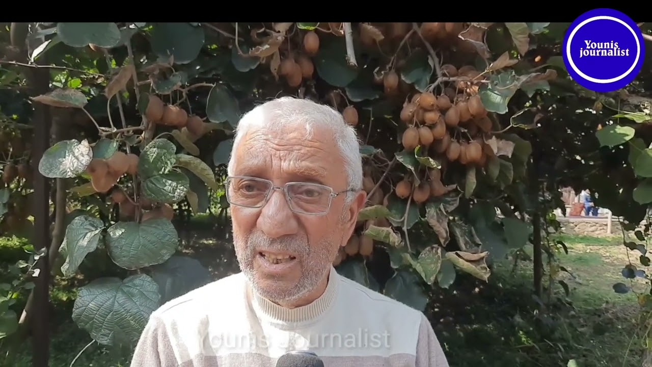First Kiwi Farmer of Sopore turns to Kiwi Garden success story