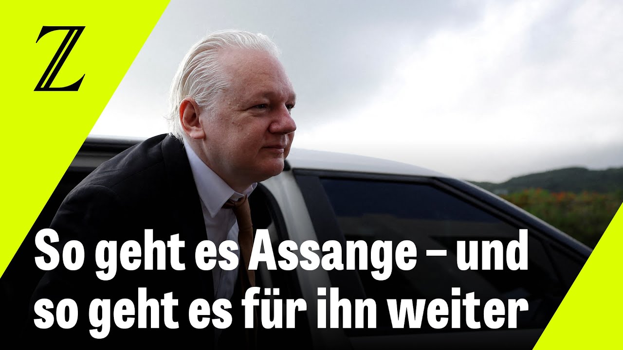 Freigelassener WikiLeaks-Gründer: 