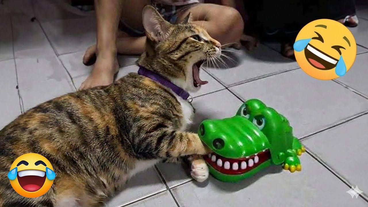 You Laugh You Lose 😄 Funniest Cats and Dogs 2026😻🐶 Part 3