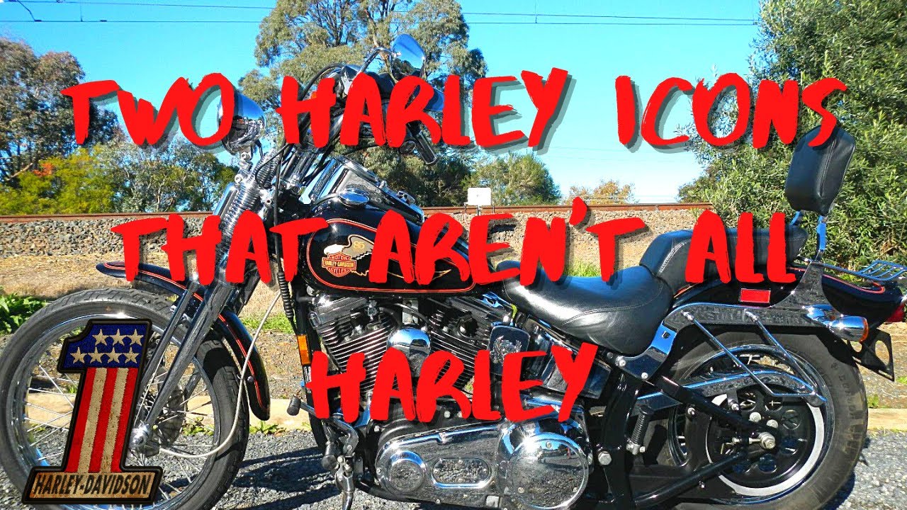 Harley Softails and Evolution Engines Aren't Exactly all Harley