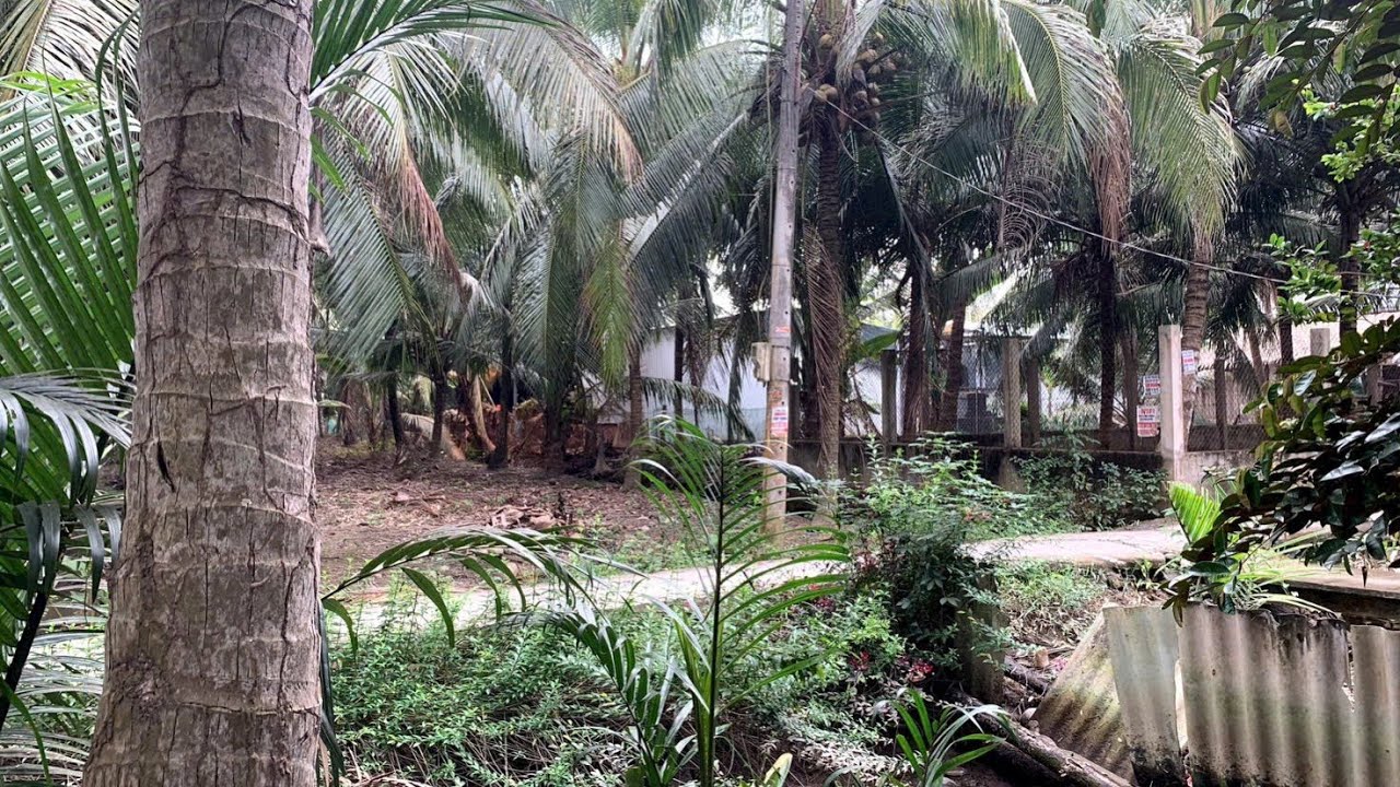 @ bán 500m2 đất lộ đàn phường an hội tỉnh vĩnh long giá 420 triệu