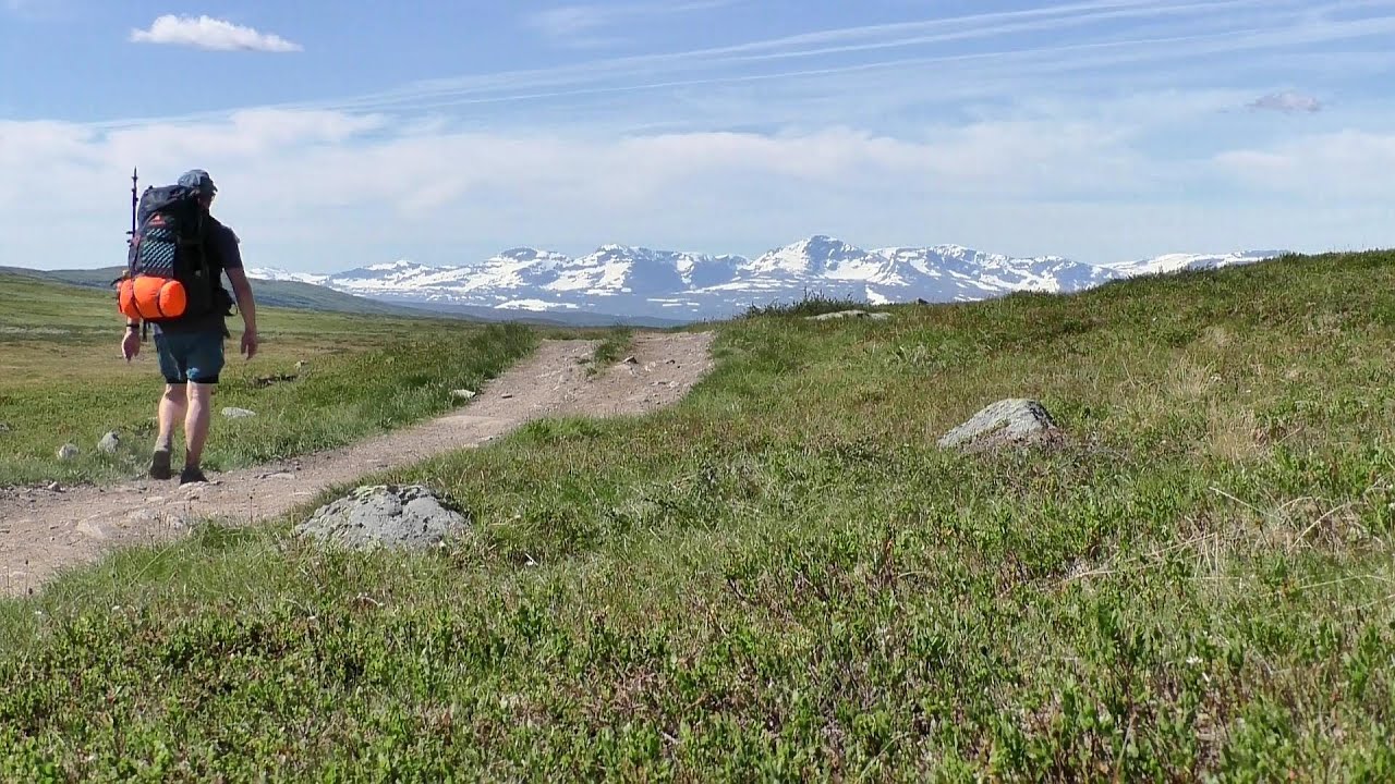 Hiking in the Ammarfjället: from Ammarnäs to Suönjiertjåhkkå  (14 july 2025)