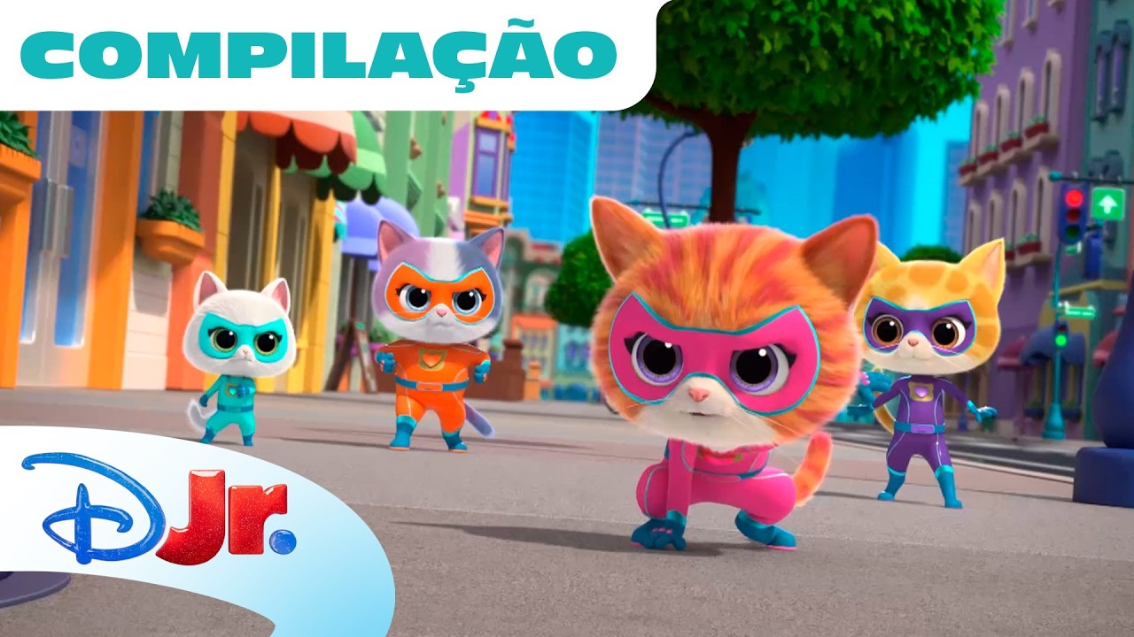 SuperKitties | Compilação dos melhores momentos da Zsa-Zsa