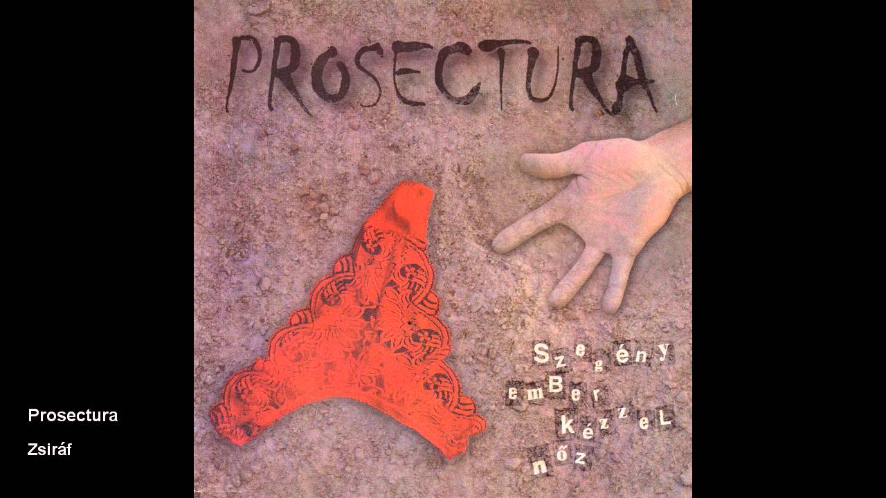Prosectura - Zsiráf