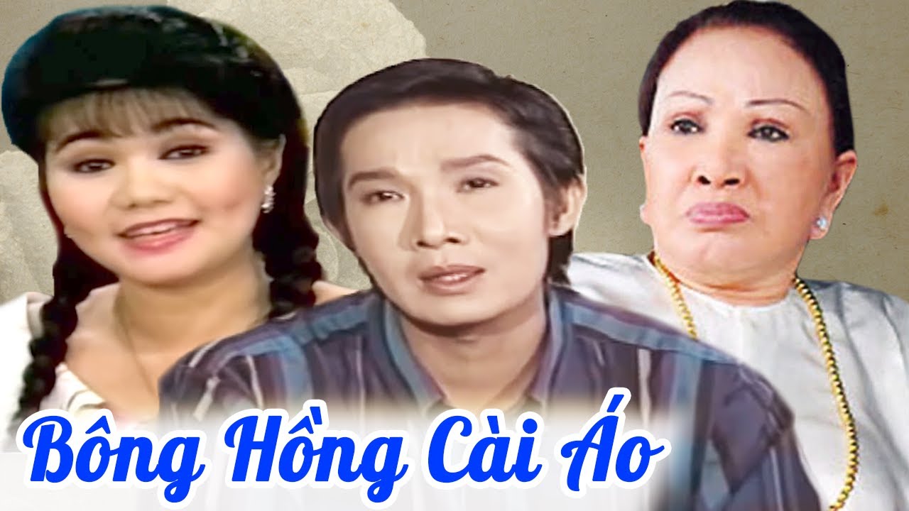 Cải Lương Tâm Lý Xã Hội Hay Nhất | BÔNG HỒNG CÀI ÁO 