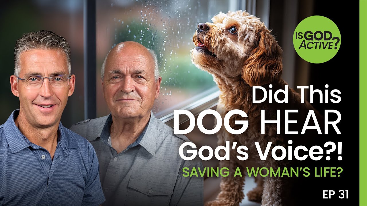 Did This Dog Hear God’s Voice, Saving a Woman’s Life?! - Is God Active?