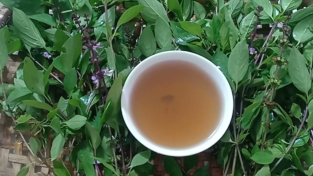 BTDG: ĐÁNH BAY SỎI THẬN NHỜ NẮM RAU HÚNG QUẾ  AN TOÀN HIỆU QUẢ.