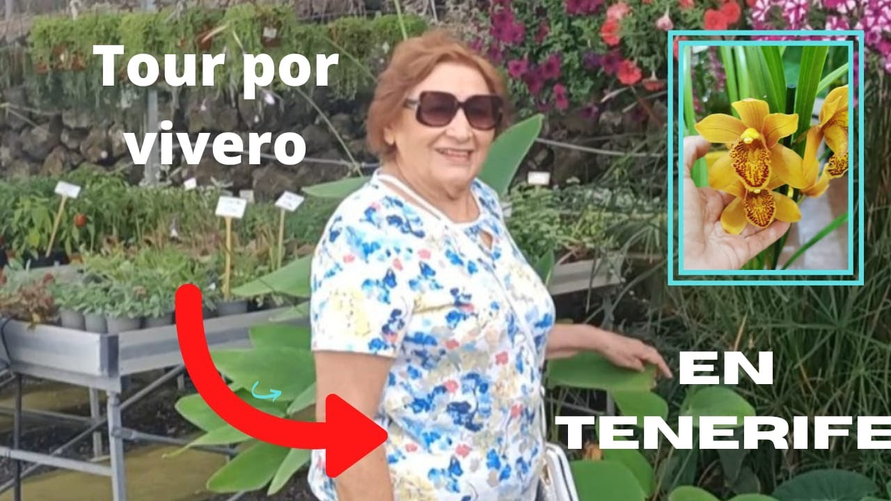 Comprando SUCULENTAS y CACTUS en Tenerife con mi suegra.❤️ 🌵