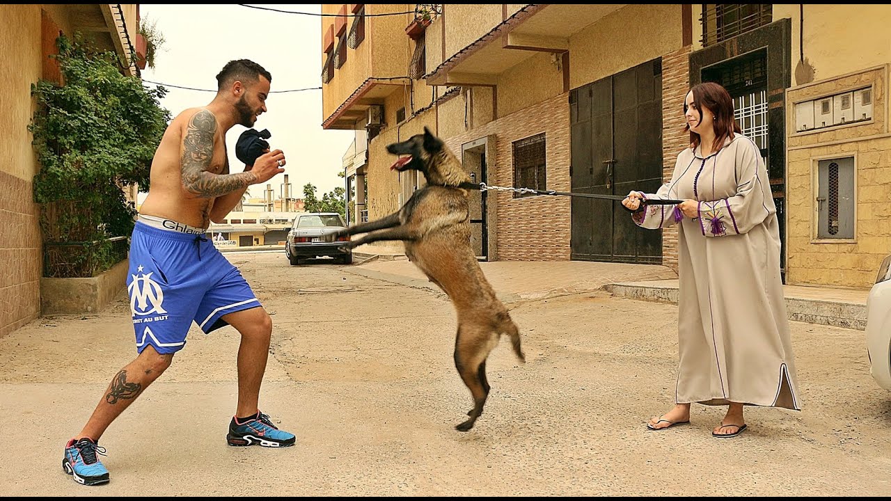 بغات ترد ليا  مراتي المقلب حرشات عليا المالينوا حتى عضاتني😭