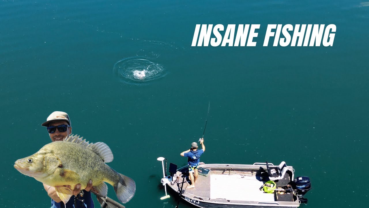 This Lake is ALIVE with Fish - the Perfect day Freshwater Fishing