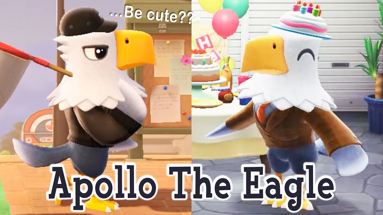 Apollo The Eagle Cranky Villager Animal Crossing New Horizons ACNH