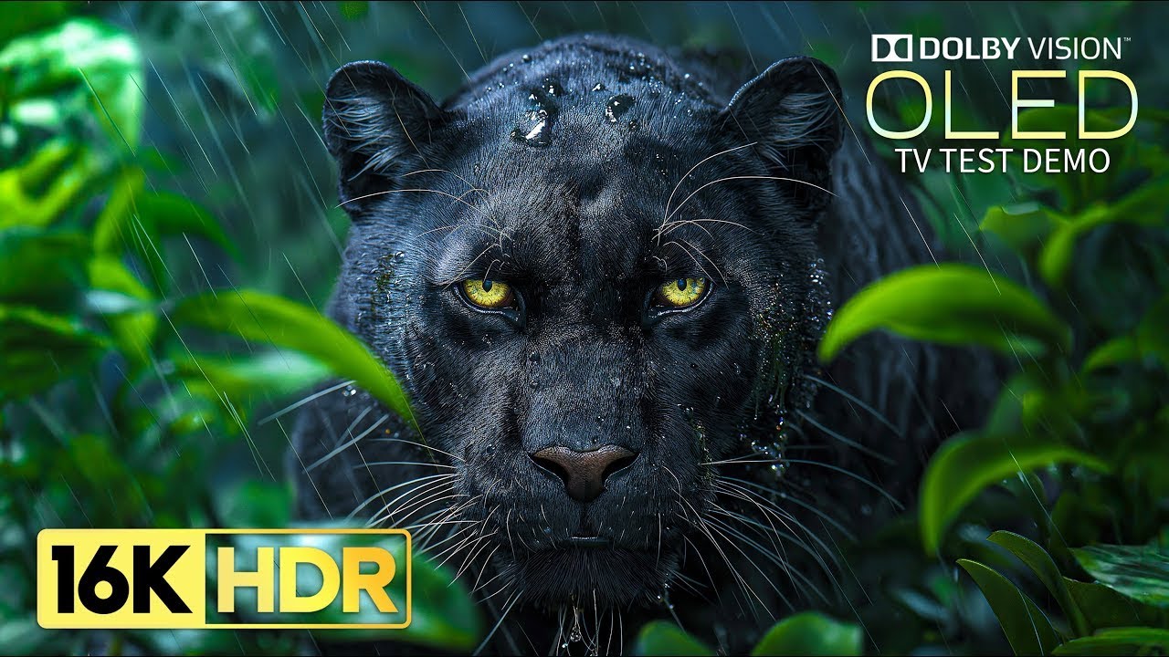 Just Wow 16K HDR Video ULTRA HD 120fps | Dolby Vision (8K/4K TV)
