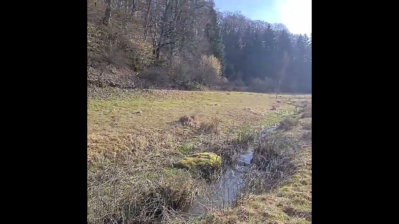 Brieltal, Alb, Märzenbecherzeit