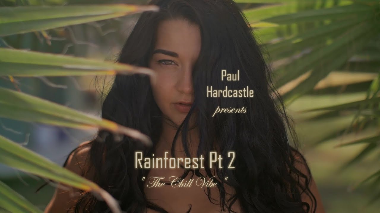 Rainforest 40  -  Pt 2 -  Chill Vibe