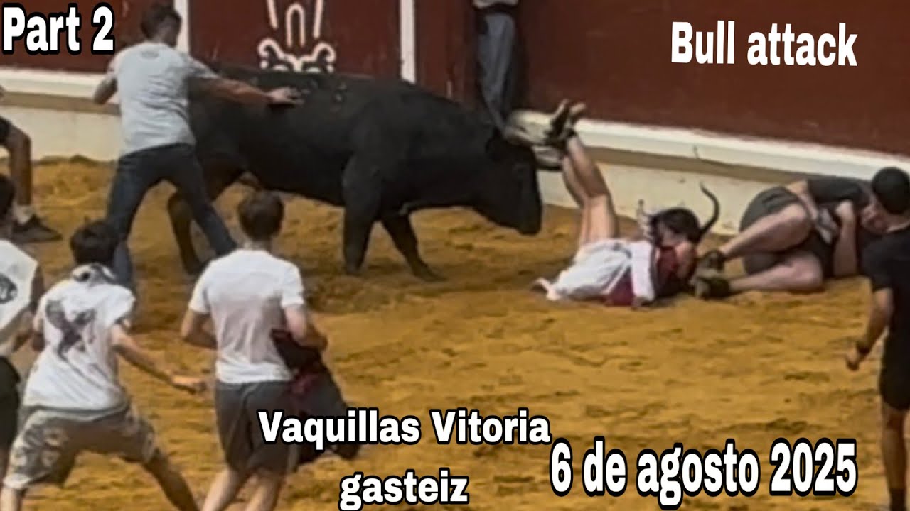 Vaquillas en Vitoria Gasteiz 6 de agosto 2025 Part 2#bullrun #bull#attack#fiestablanca 