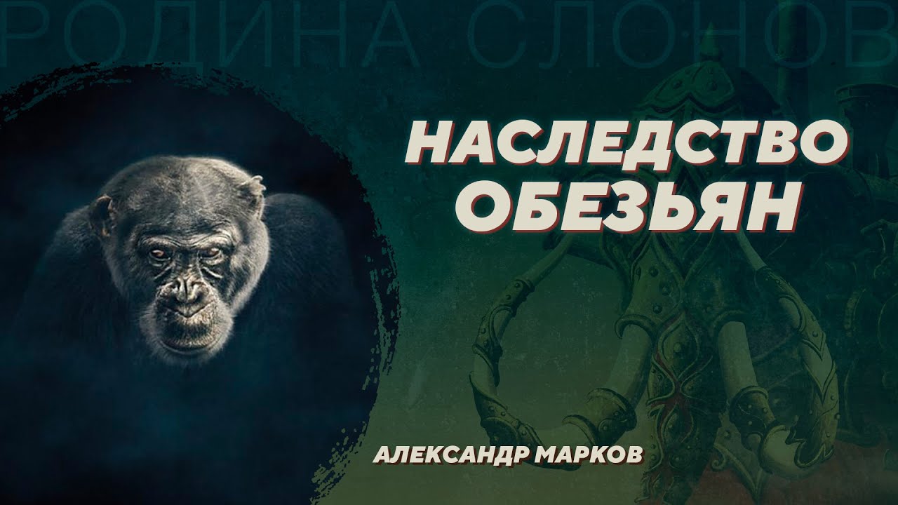Что наше общественное устройство унаследовало от обезьян? Александр Марков. Родина слонов №375