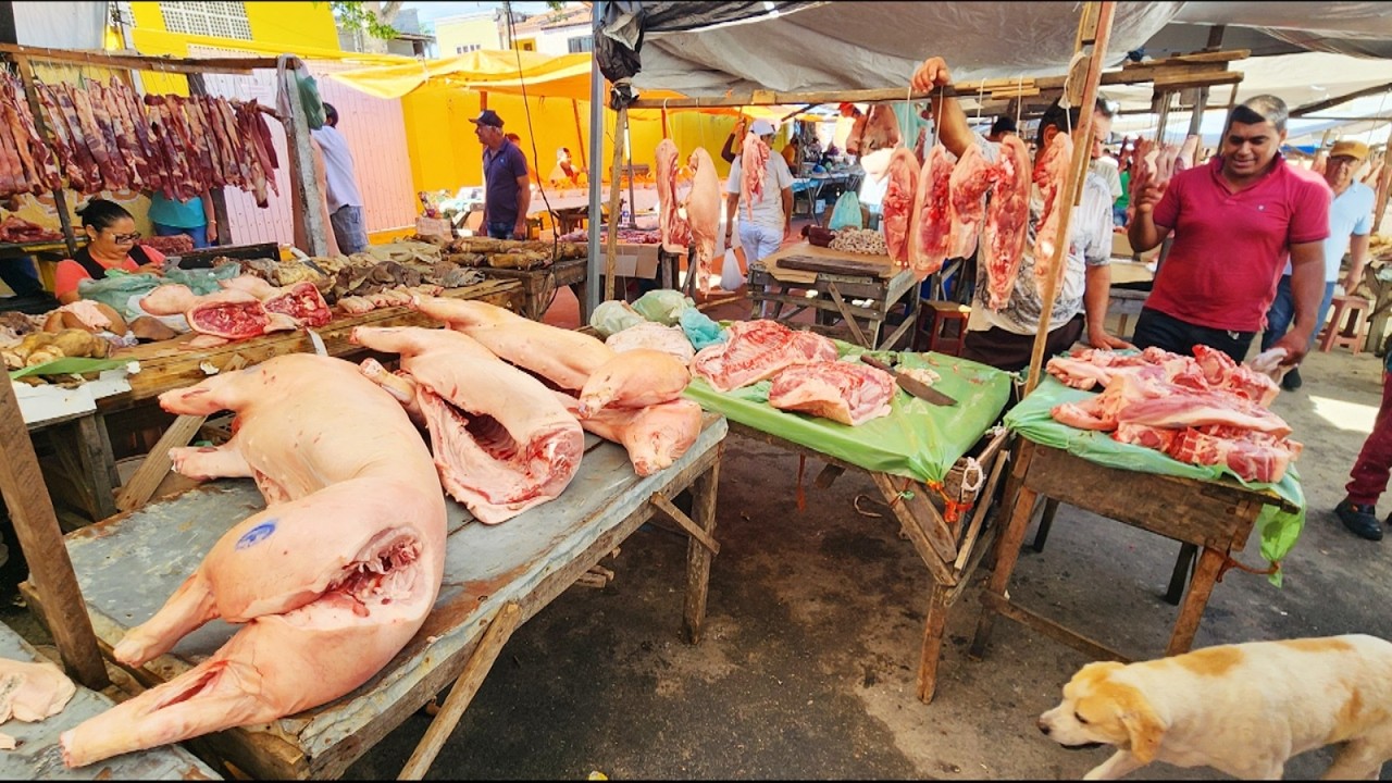 PEIXE DA SEMANA SANTA POR 5 REAIS SÓ EM CAPOEIRAS-PE