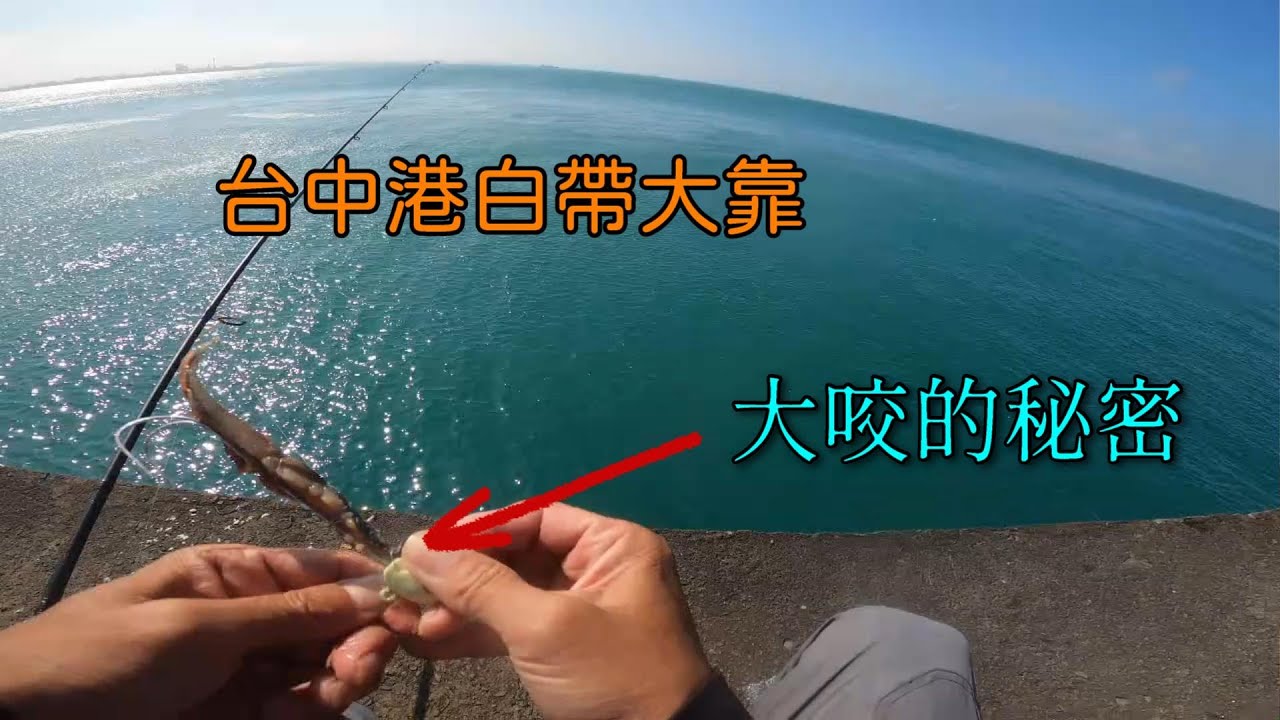 台中港白帶魚狂咬啦,天亞+秋刀魚很快就爆桶,為什麼有人會爆桶有人釣不好,或許是因為這個細節....#南投小江 #釣魚 Taiwan Fishing