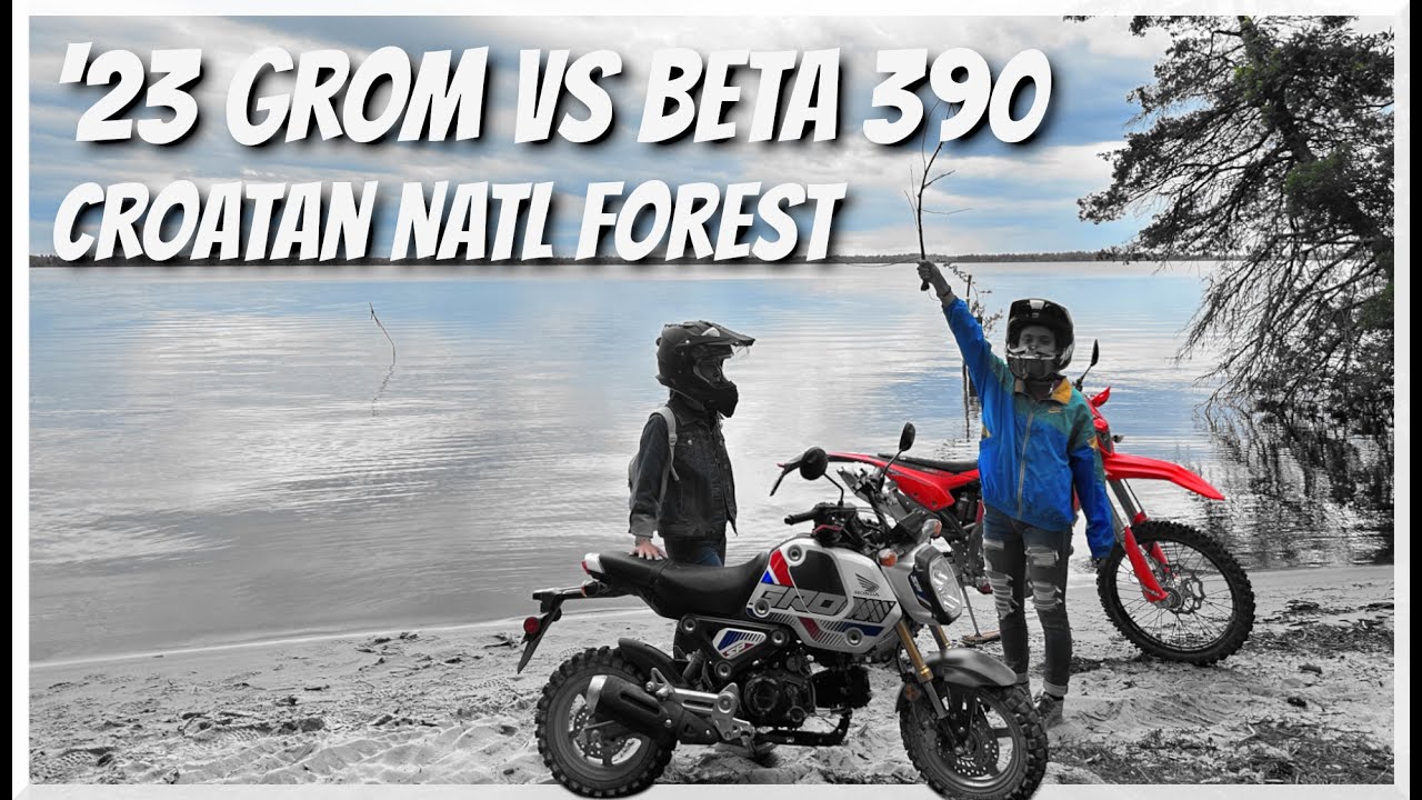 #MTBPlanB  '23 Beta 390 vs Honda Grom dual sporting vs wildfire at Croatan National Forest