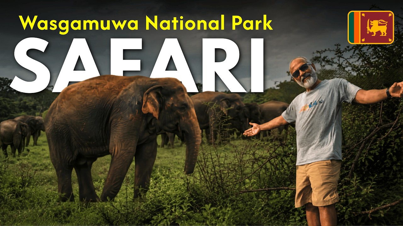 Wasgamuwa National Park Elephant Safari (Sri Lanka Travels, Dec 2023)