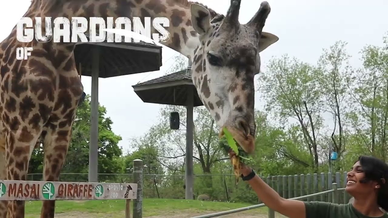 Your Toronto Zoo's 2024 Highlights ✨