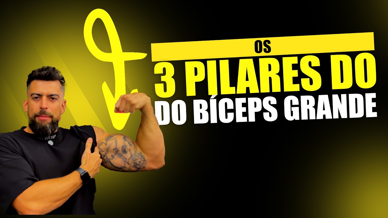 3 pilares do bíceps grande