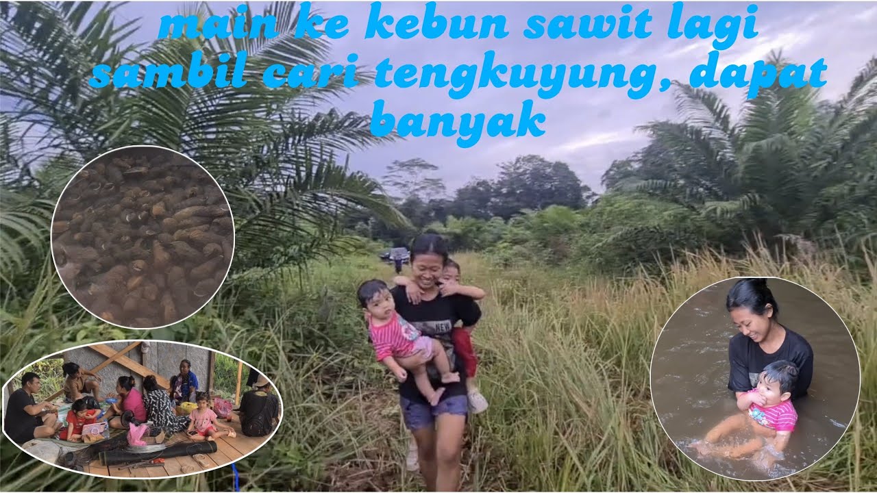 Ke kebun sawit sambil cari tengkuyung // healing tipis2 kita
