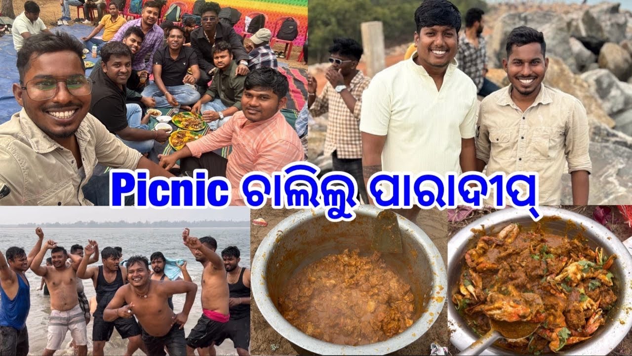 Picnic ରେ କଙ୍କଡ଼ା ମଟନ୍ ସବୁ ଉଡ଼ିଲା ଗାଧୁଆ ସହିତ Dance ଜମିଗଲା@lifeofsridhar9099 