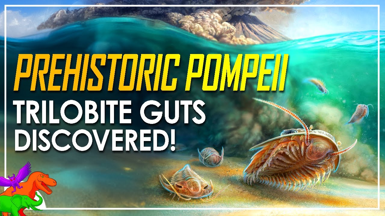 Prehistoric Underwater Pompeii | Pristine Trilobite Fossils Reveal Unseen Anatomy