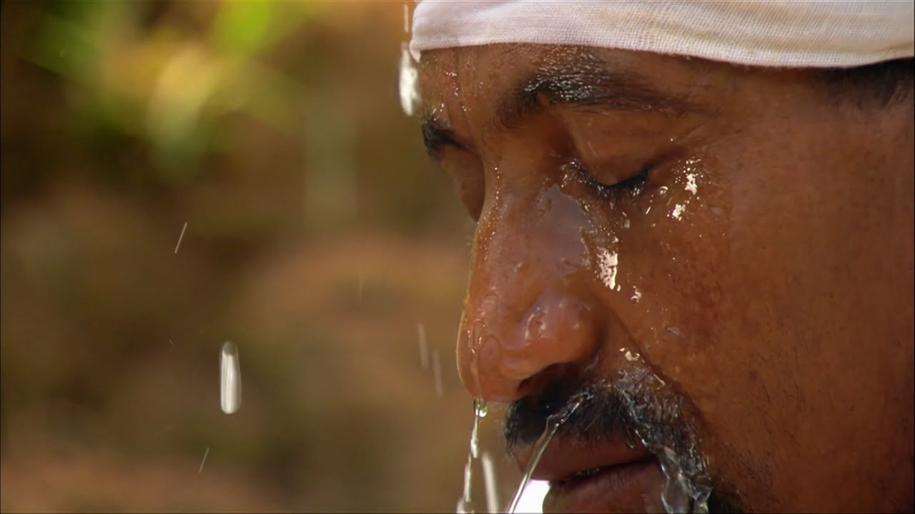 Nile: An African Odyssey | Wildest Africa | 4K |