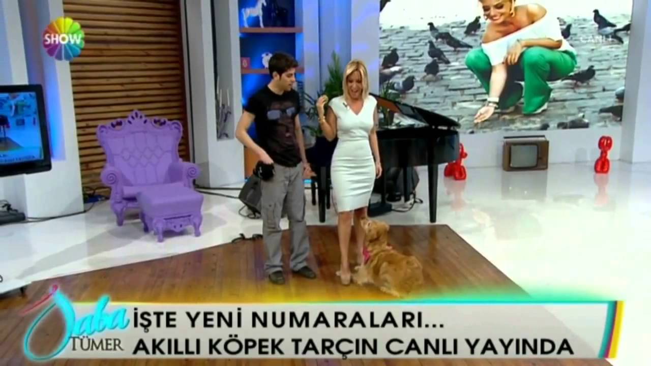 Kutay Özkan ve Tarçın Saba Tümer'de