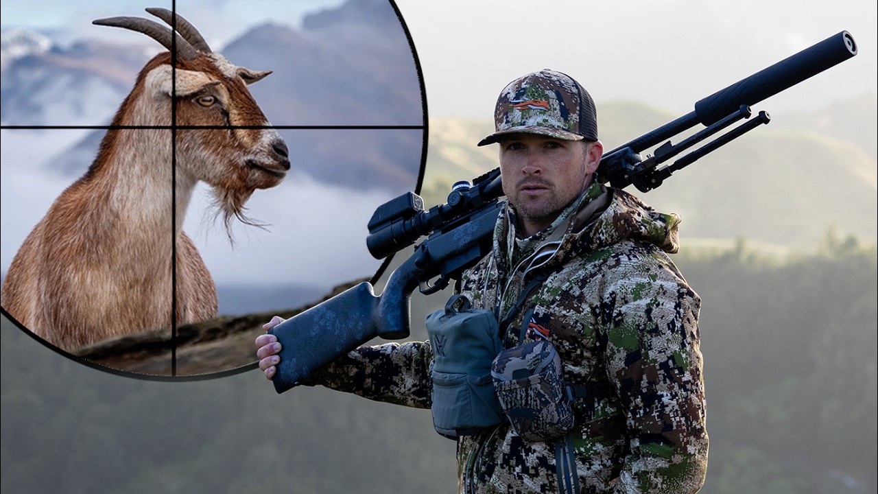 You'll Never Believe This Pest Control Hunt - Wild Goats
