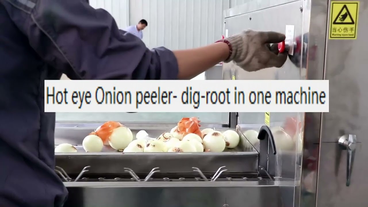 Hot eye onion peeler dig root in one machine vegetable fruit peeling machine food machine