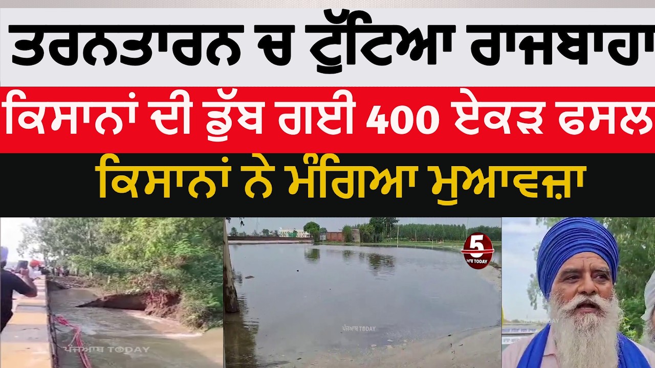 tarntarn easupur small canal breach| tarntarn farmers crops drowned | tarntarn rajbaha break |