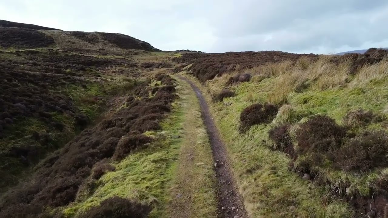 A wee hike 02 03 26