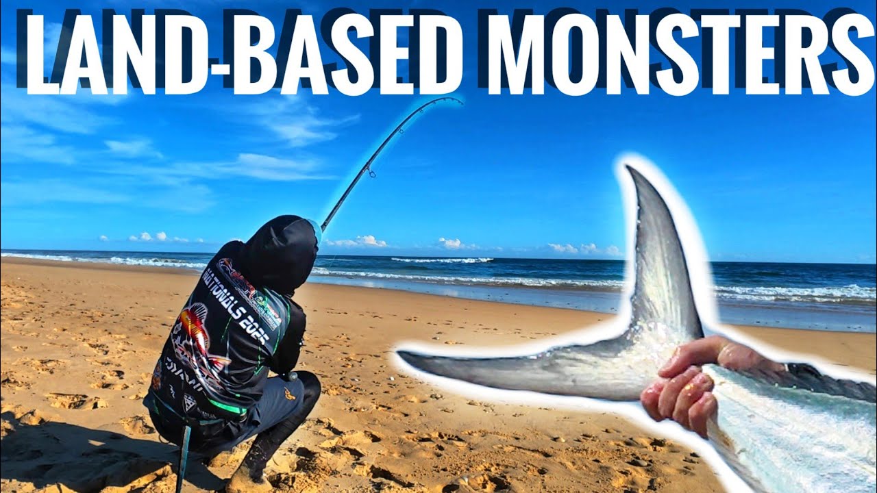 Охота на гигантских акул с неожиданным уловом!