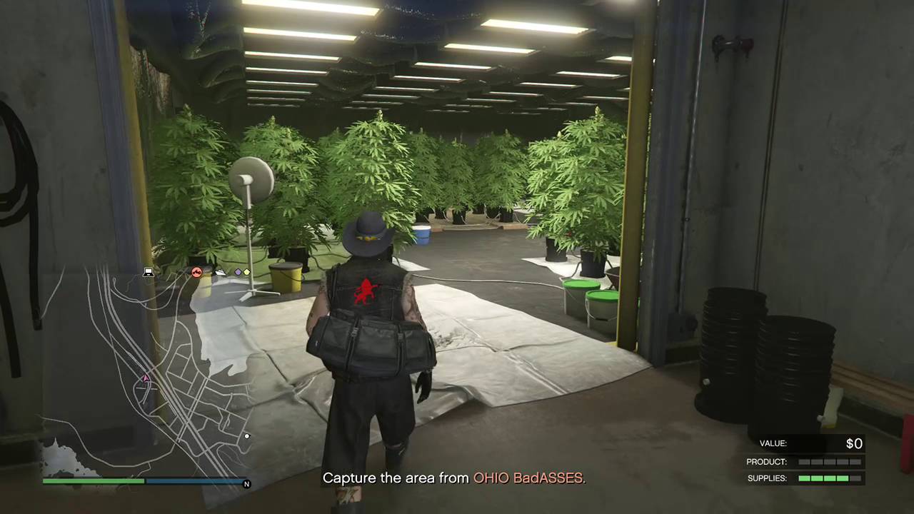 Grand Theft Auto V u can now grow weed and sell it