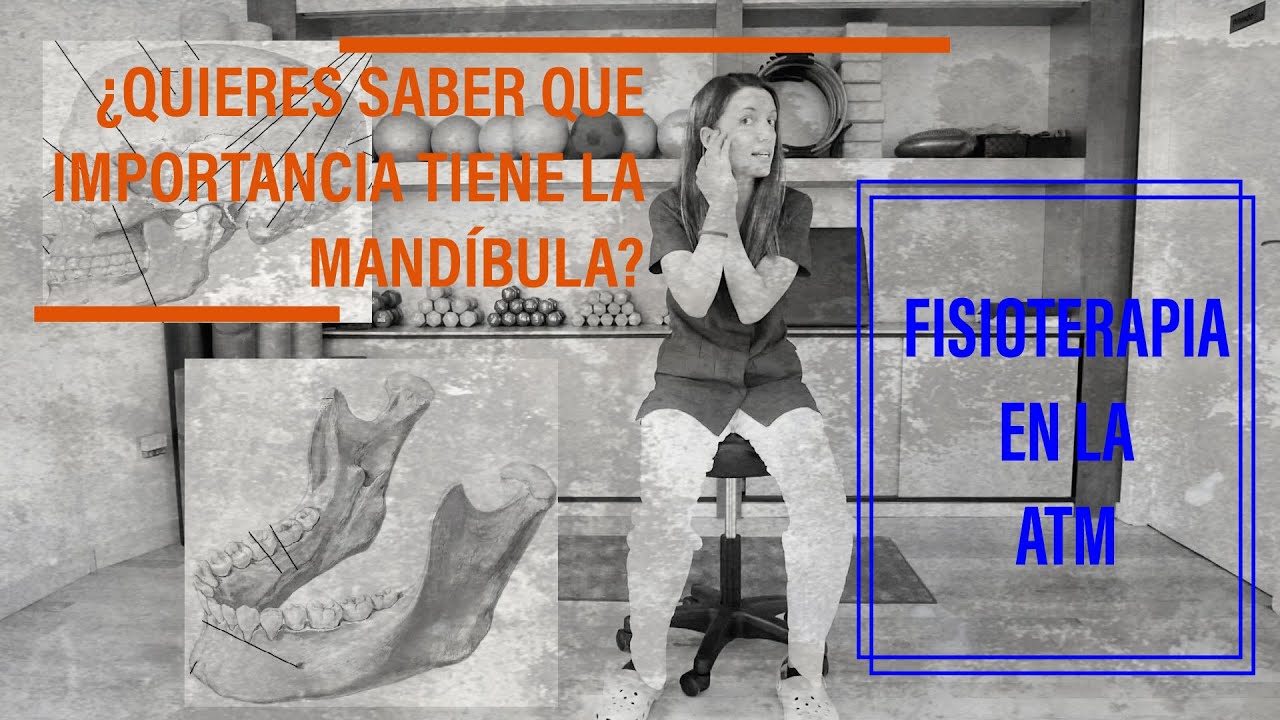 Fisioterapia de la ATM. Importancia de la mandíbula en fisioterapia. ATM #001
