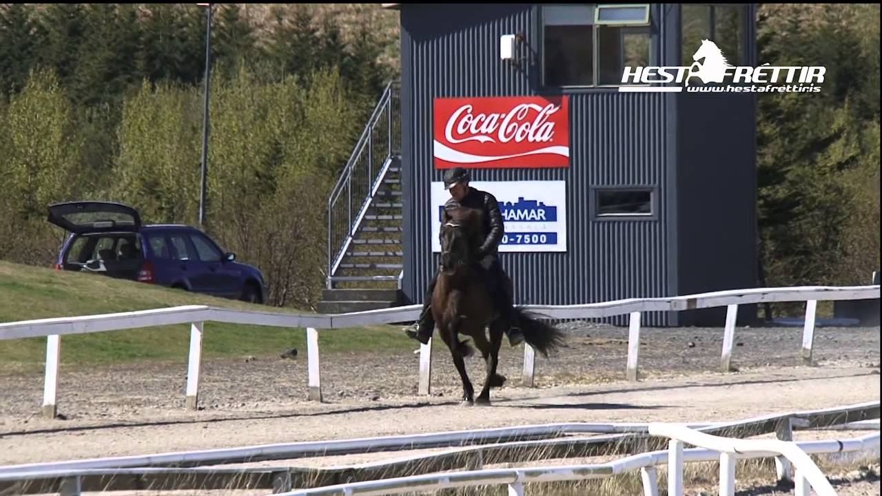 Arion   Eystra frodholti