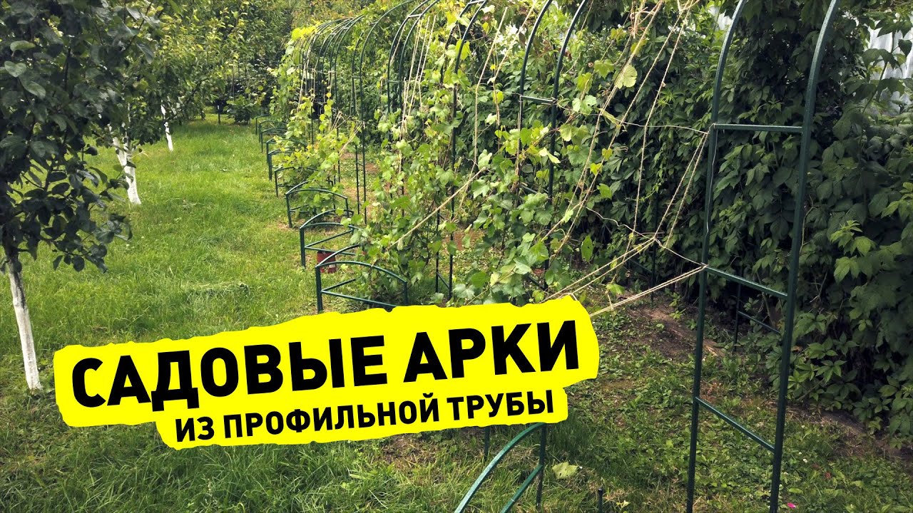 Садовые арки из профильной трубы