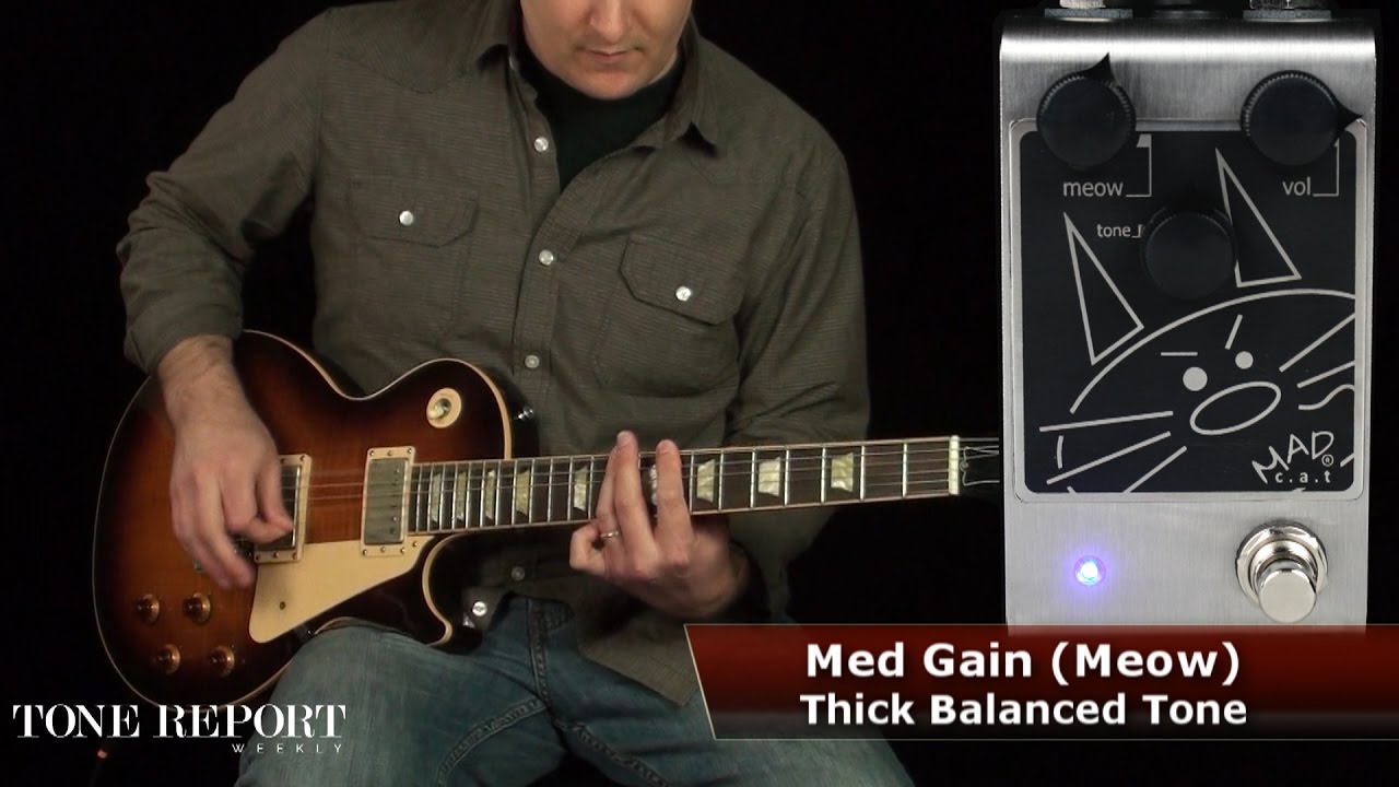Guitartech Mad Cat Overdrive/Distortion