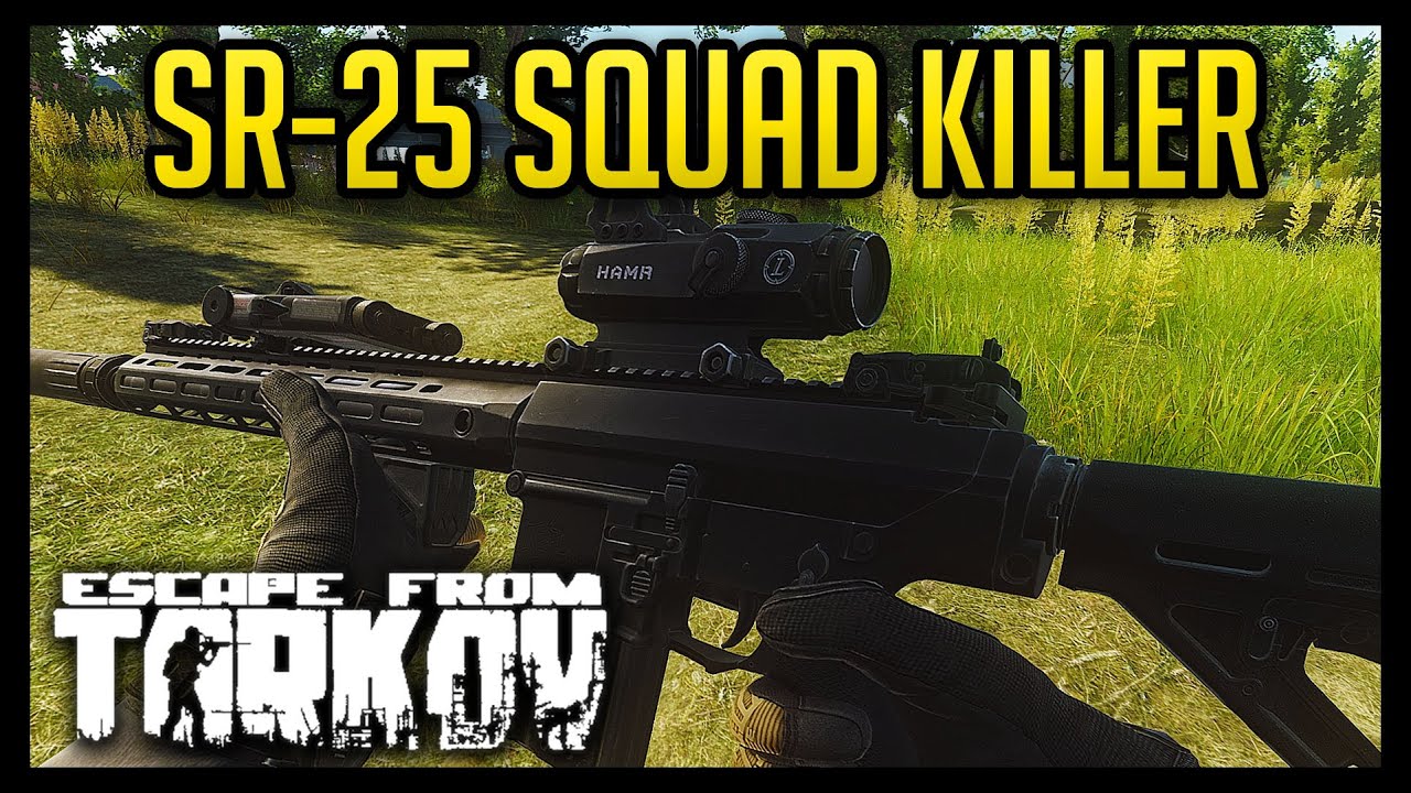 SR-25 - The New Squad Killer - Escape from Tarkov