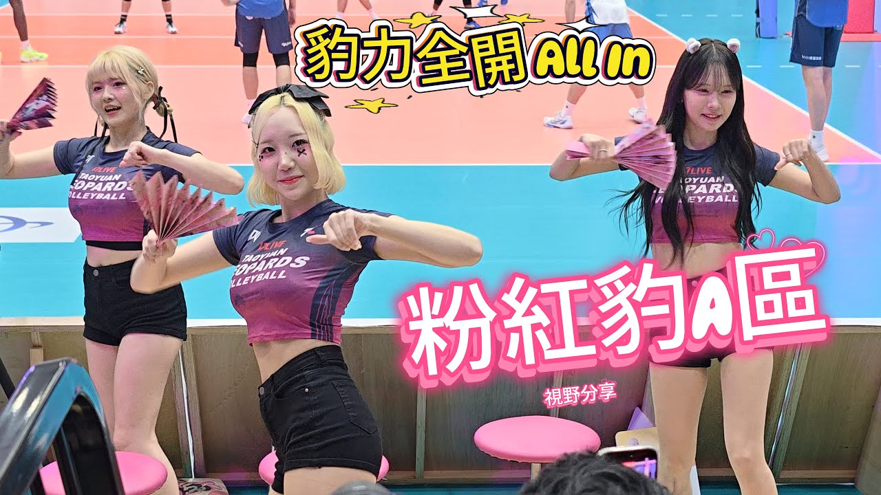 跟著桃氣女孩 豹力全開All In!  粉紅豹區視野分享 Part 1 