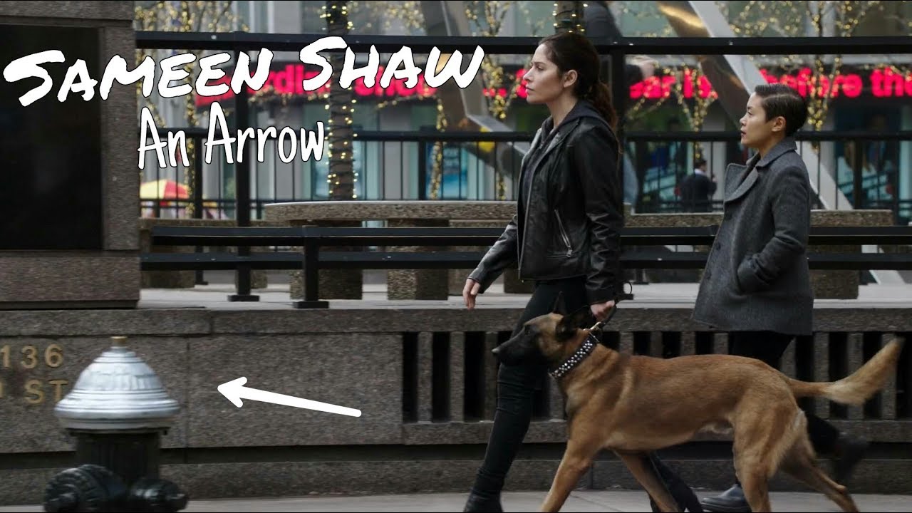 Sameen Shaw (POI) || An Arrow