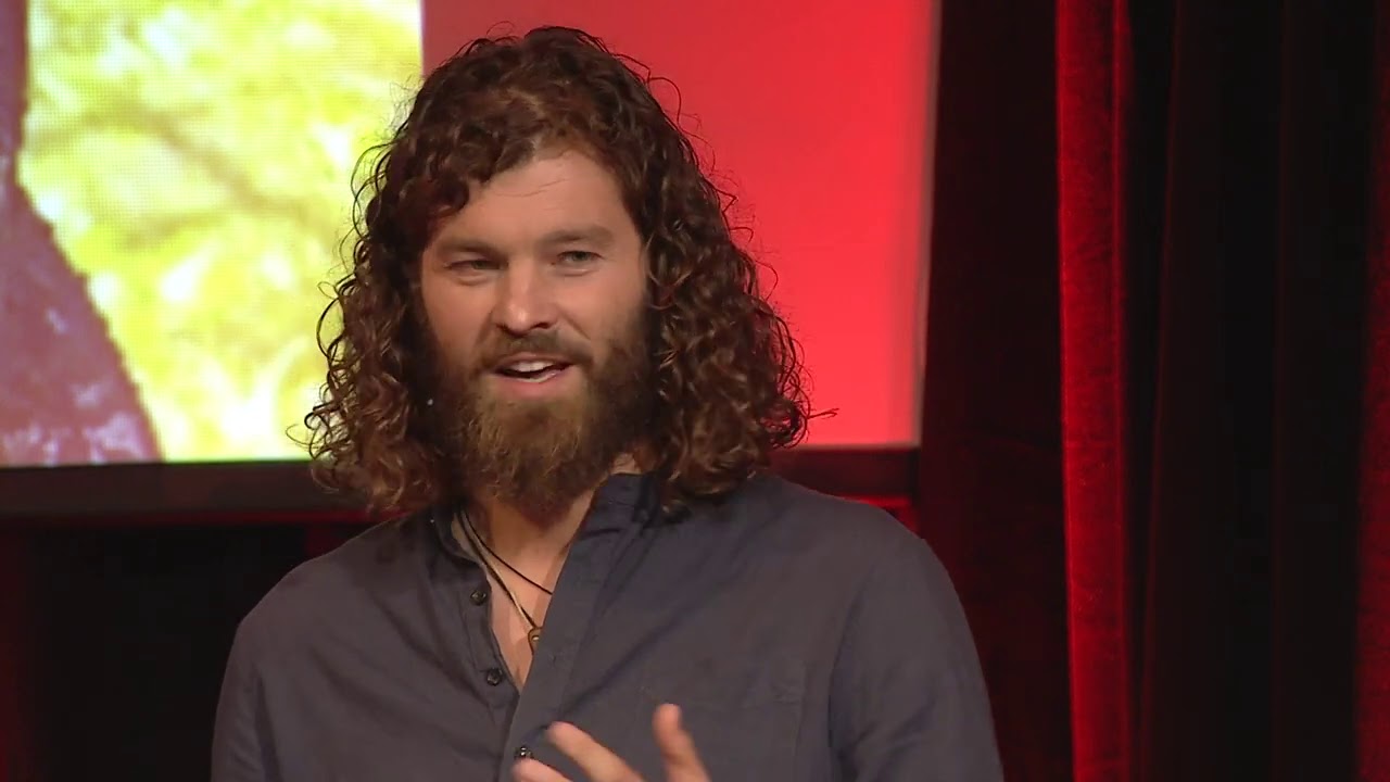 What I Learned from the Maori | Koos Wabeke | TEDxWassenaar