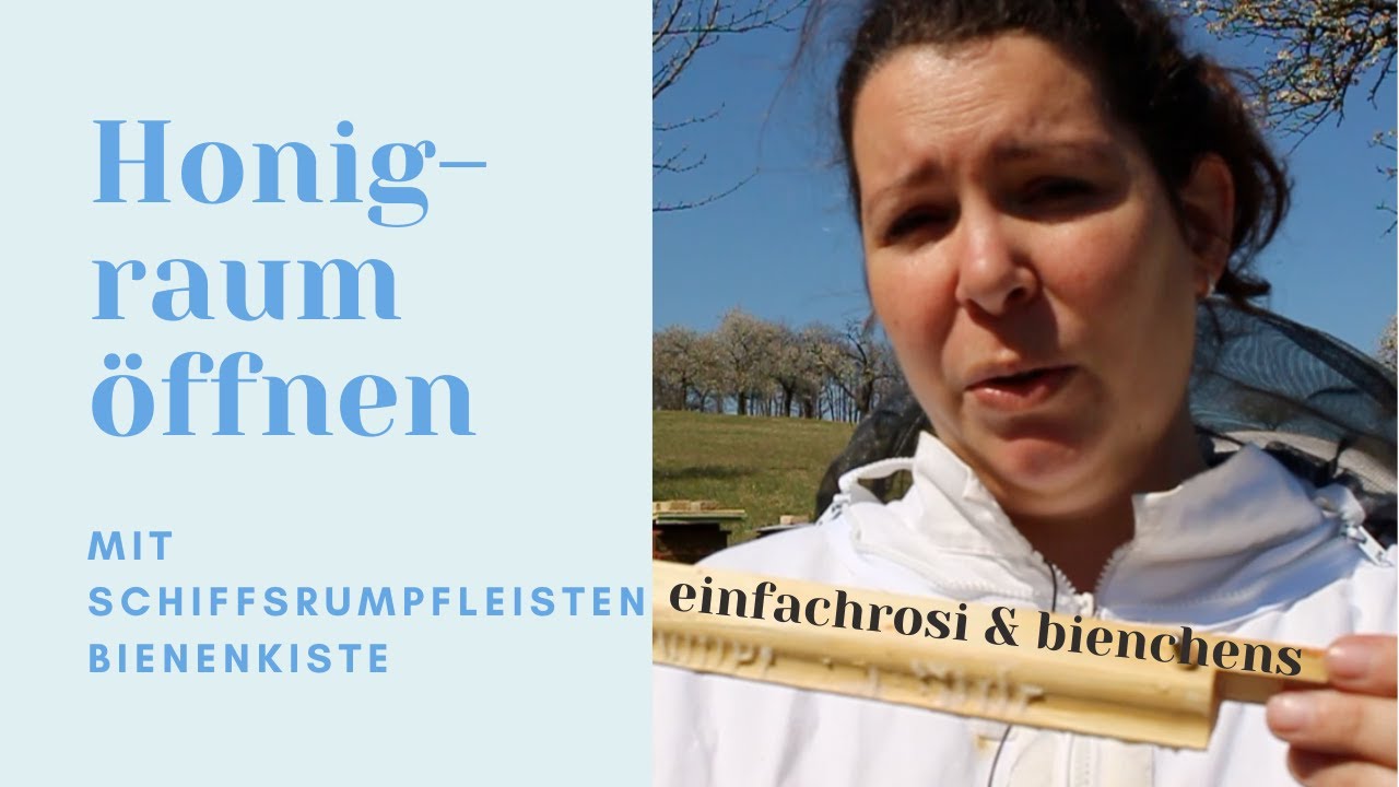 Frühjahrsdurchsicht & Honigraum öffnen mit Schiffsrumpfleisten