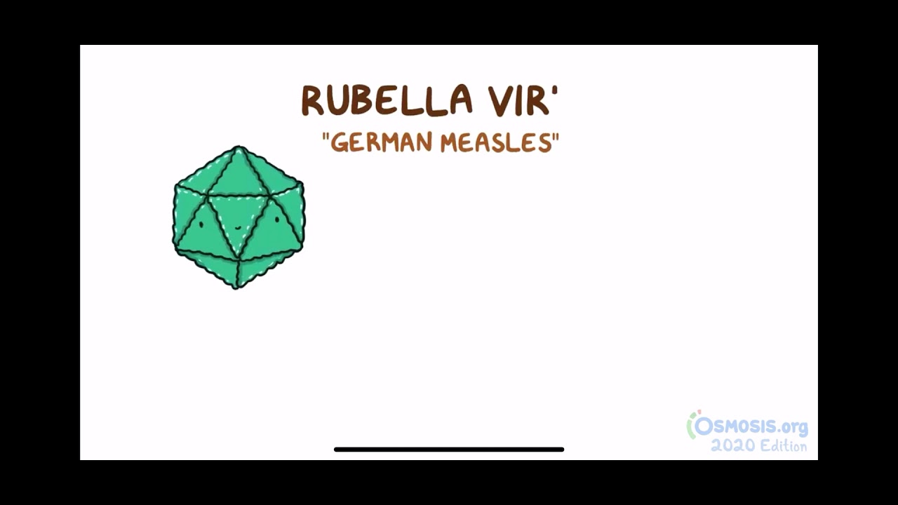 German Measles