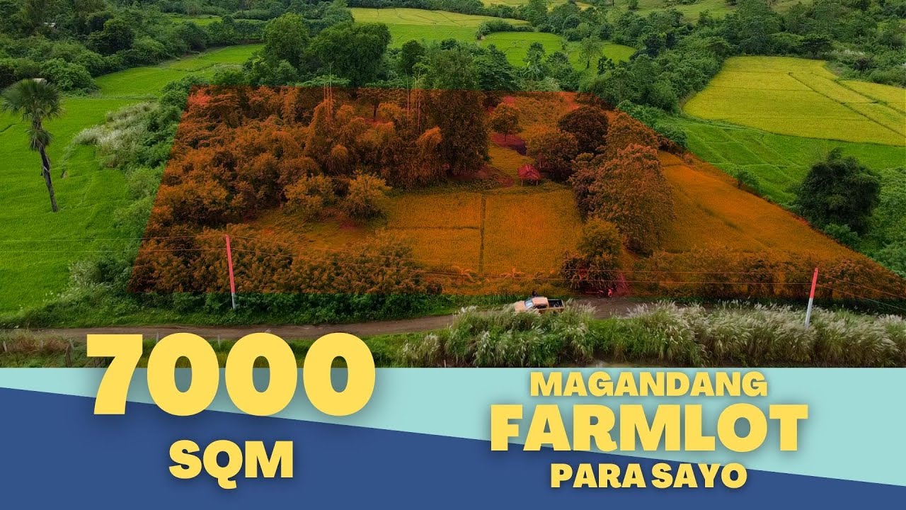 (Vlog#68) 7000 SQM #FARMLOT 1.2M Along Brgy. Road @Cuyapo, Nueva Ecija With Aerial View